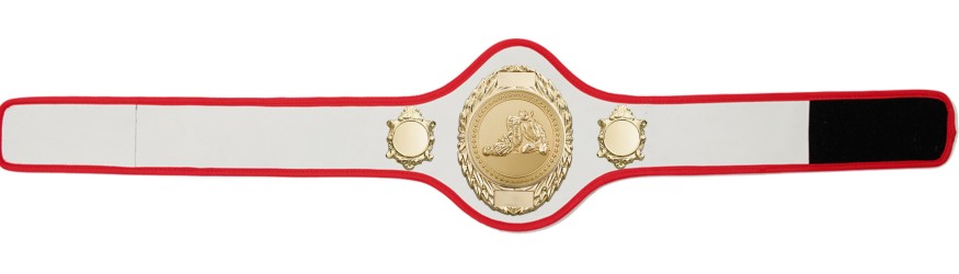 JIU JITSU CHAMPIONSHIP BELT-PRO286/G/JJG-10+ COLOURS
